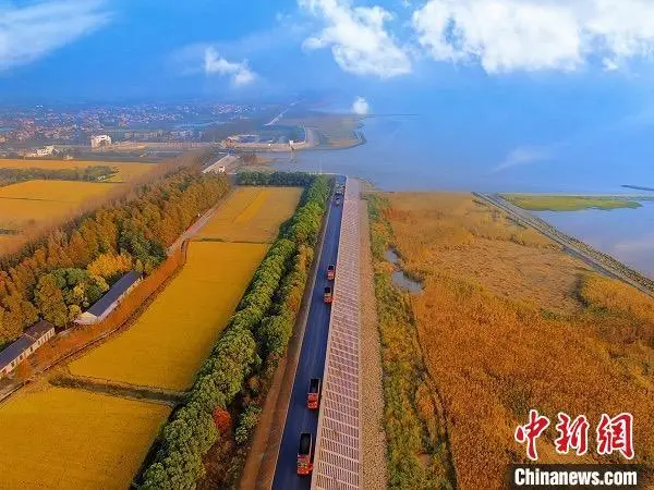上海崇明生态岛环岛防汛提标二期工程进入收尾阶段